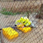 poplave u dolini neretve