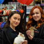 Pet City Importanne