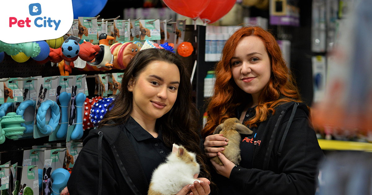 Pet City Importanne