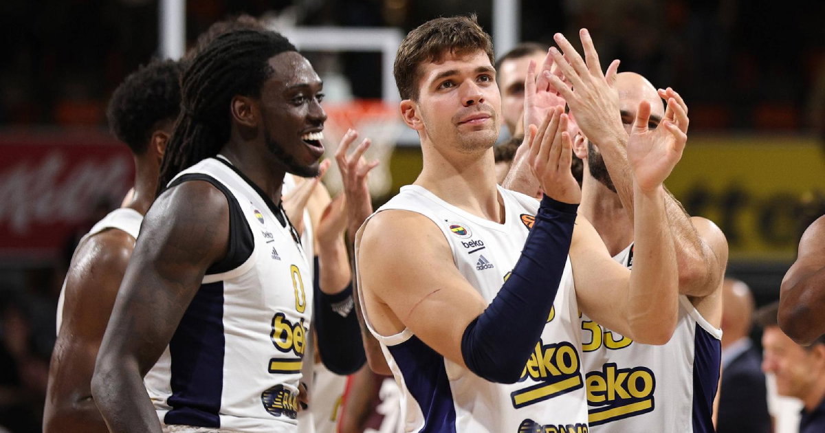 tarik biberović