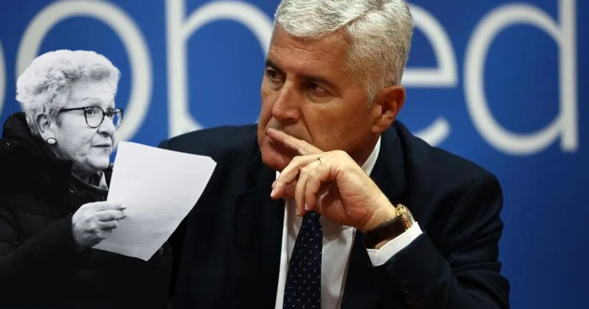 azra zornić dragan čović