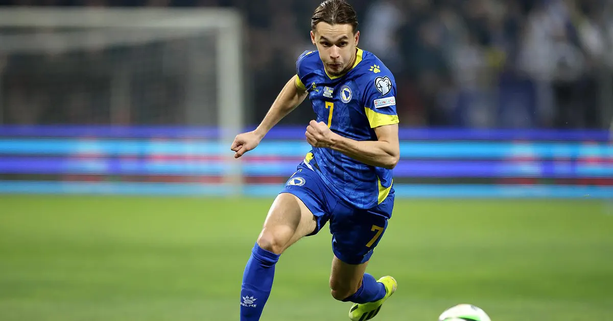 amar dedić