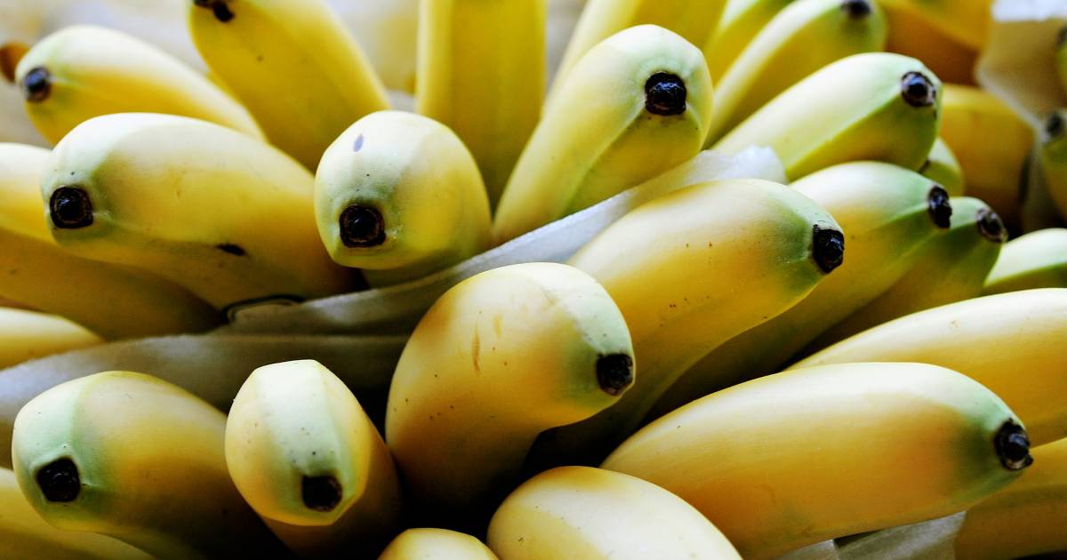 banane