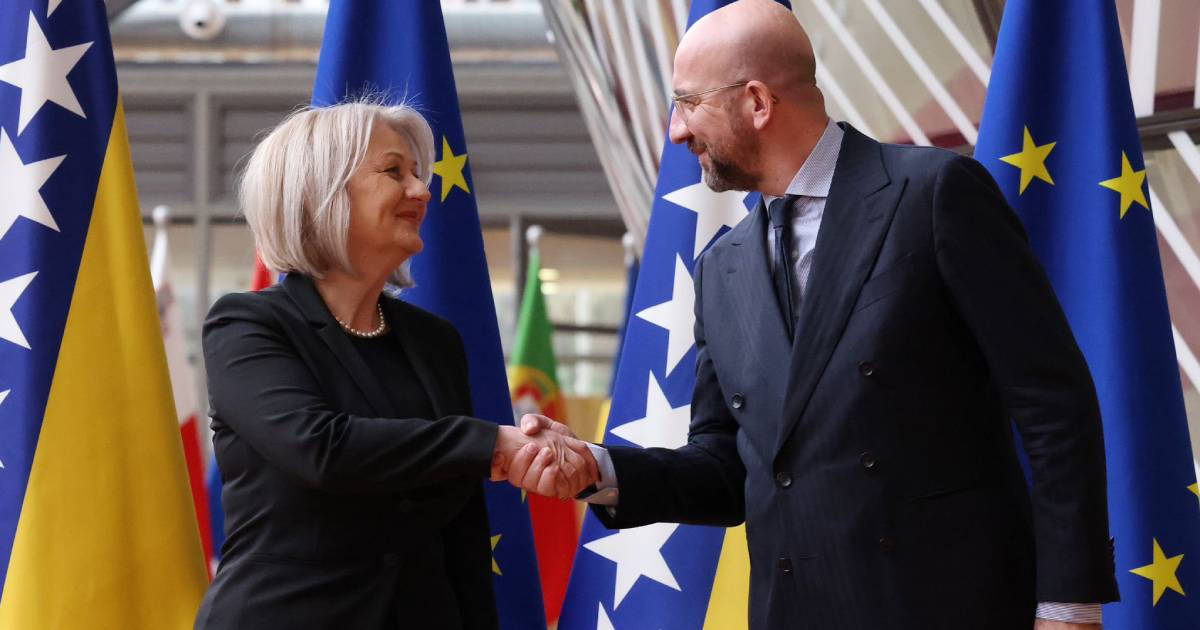 charles michel borjana kristo