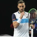 damir dzumhur