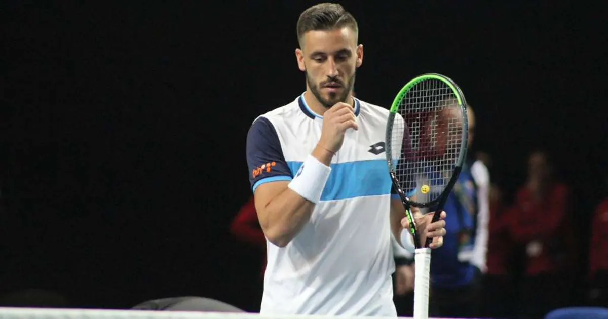 damir dzumhur