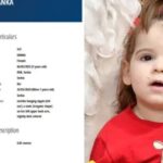 danka ilic interpol potraga