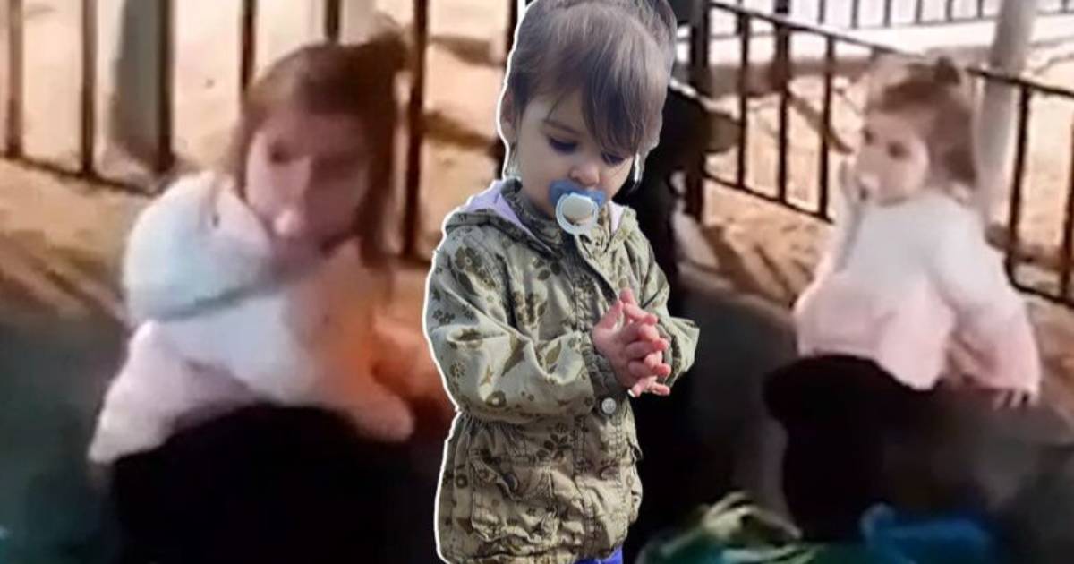 danka snimak bec