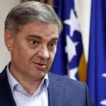 denis zvizdić