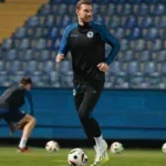 dzeko bih