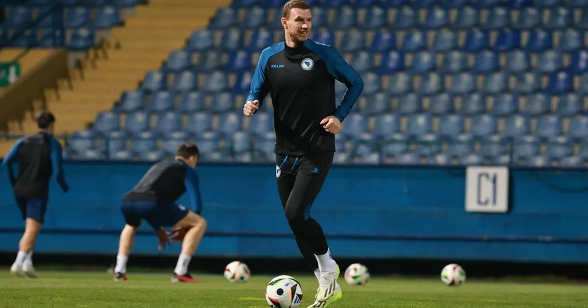 dzeko bih