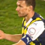edin dzeko krv
