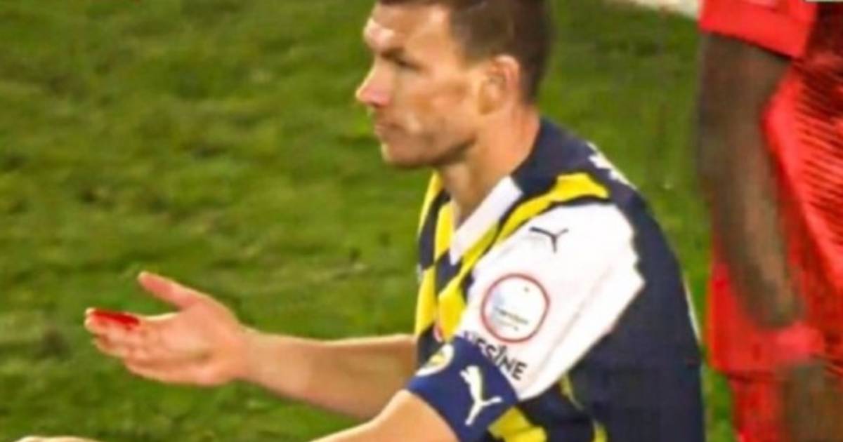 edin dzeko krv