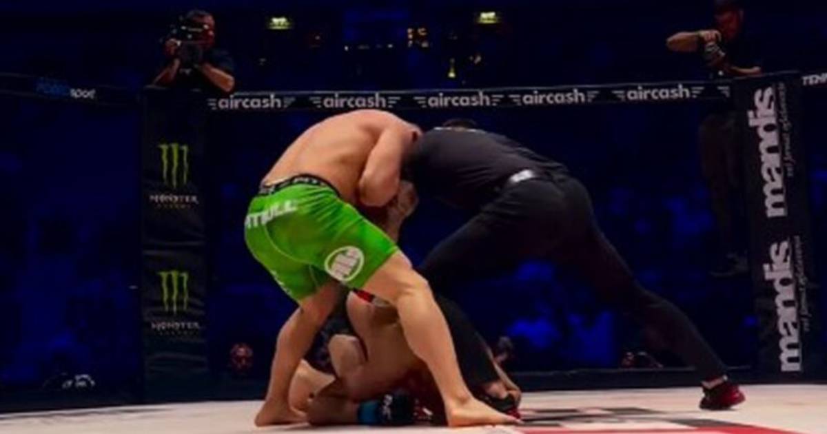 fabjan zgela
