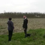 medved u odžaku