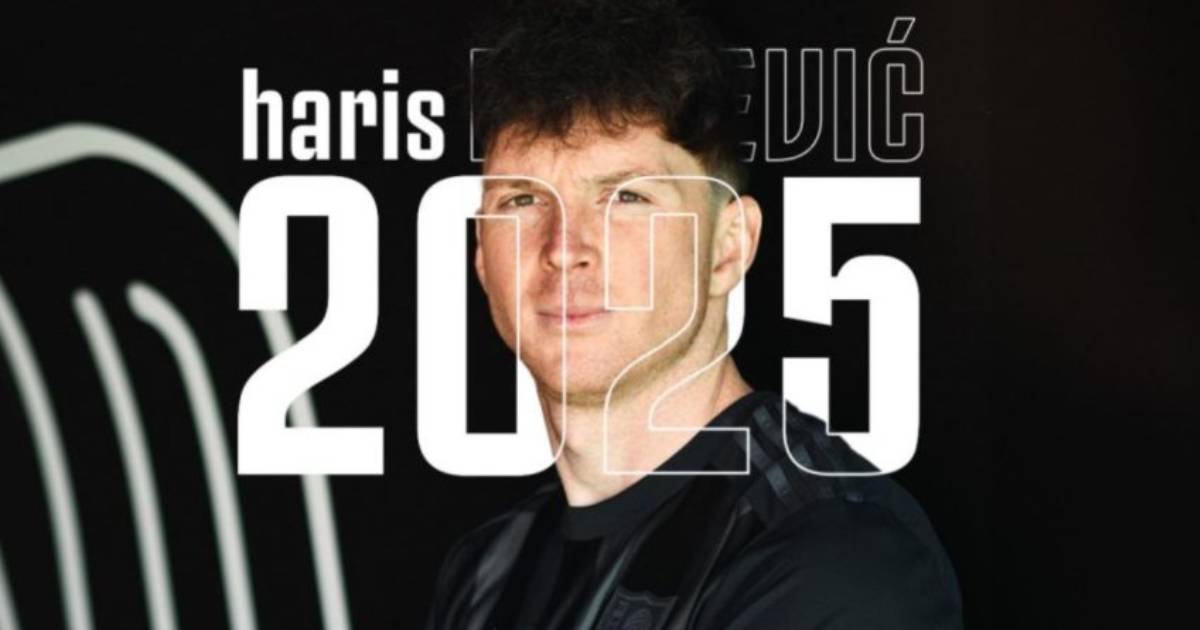 haris duljevic