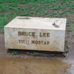 kip bruce lee