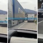 kolona zenica topcic polje