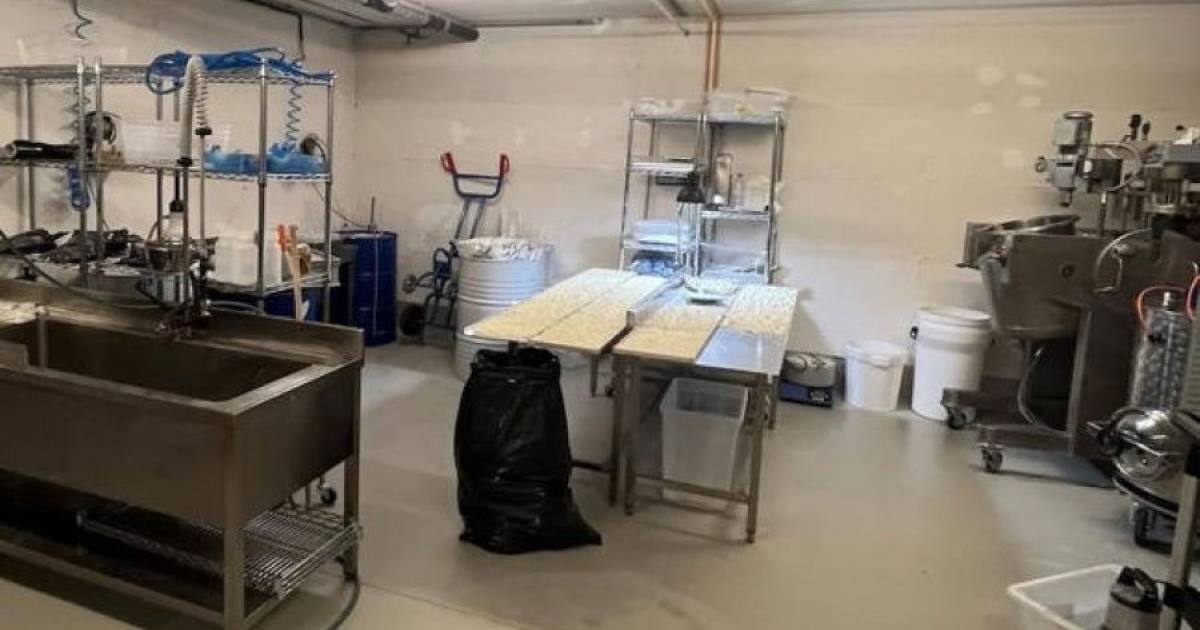 laboratorija droga