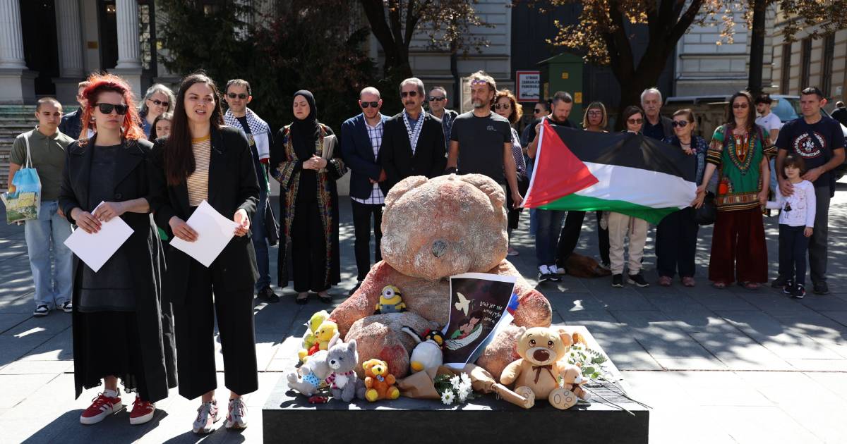 performans instalacija gaza