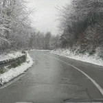 rogoj