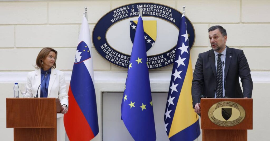 tanja fajon elmedin konakovic