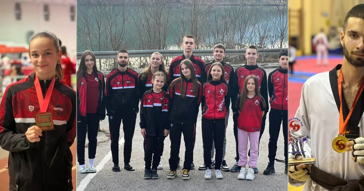 tkd sampion medalje aylin