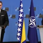 becirovic stoltenberg