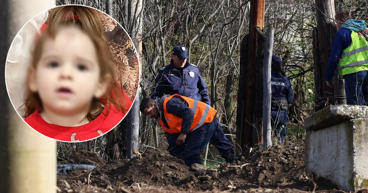 danka potraga pf