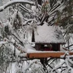 kranjska gora snijeg