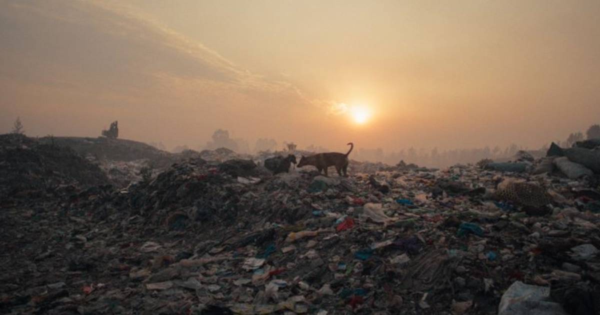 plasticna fantazija