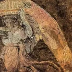 pompei