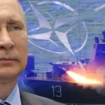 putin nato