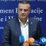 vojin mijatovic