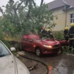 u nevremenu poginula žena