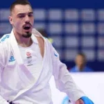 anes bostandzic