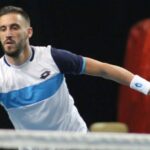 damir dzumhur
