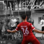emir halilovic
