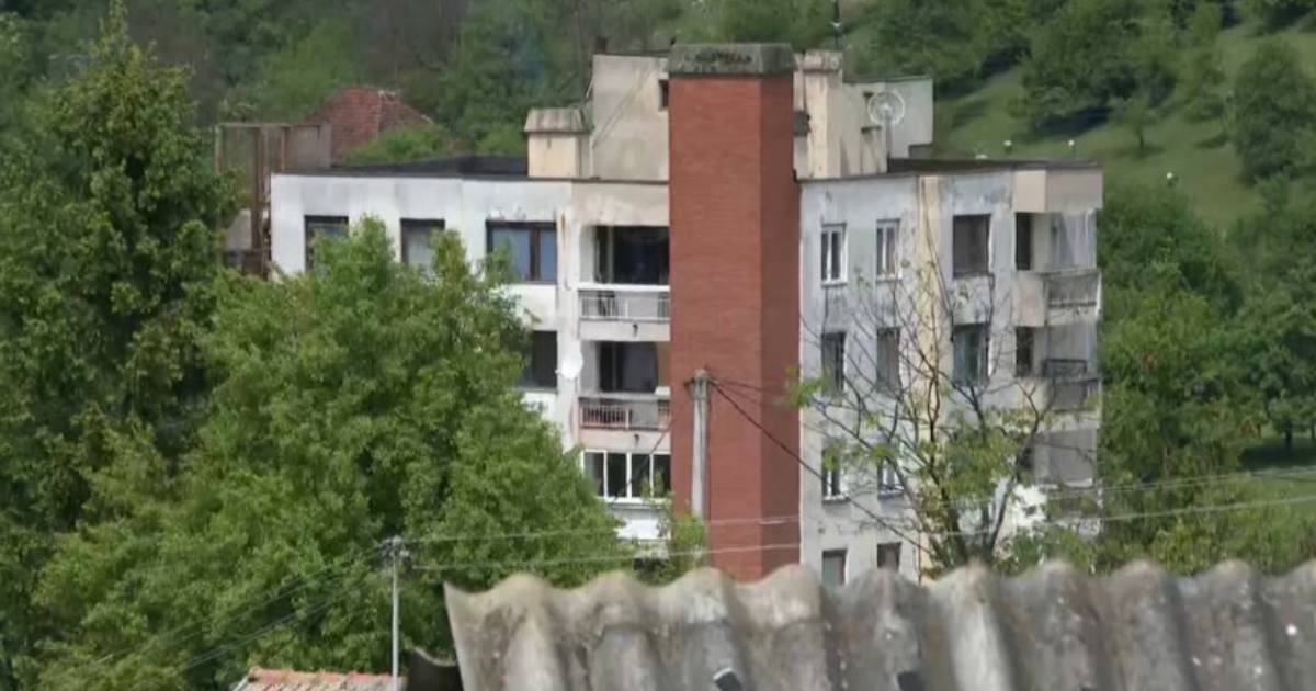 foca miljevina