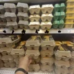 jaja