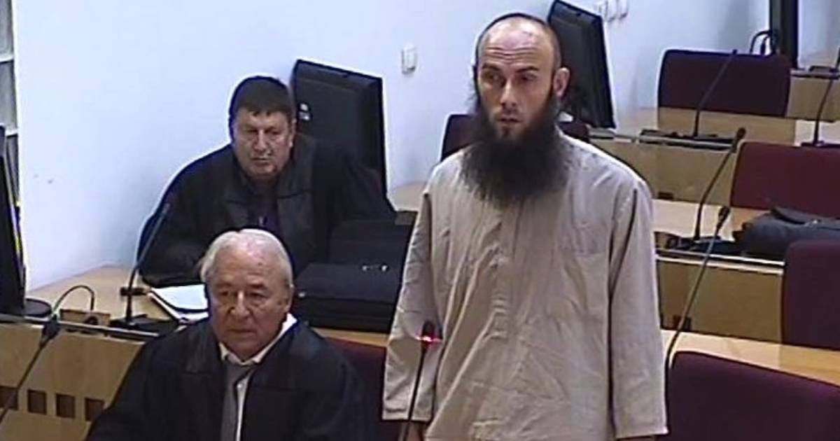 mirza kapic
