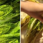 salata s rostilja
