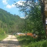 povratak