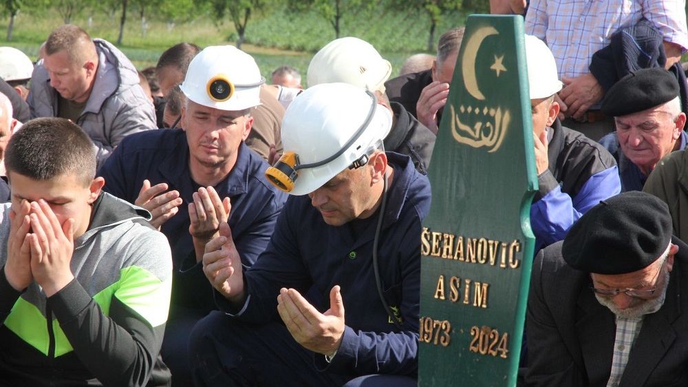 seahnovic asim dzenaza