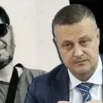 vojin mijatovic brat