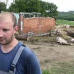 uništena farma ovaca