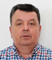saša sarajlić