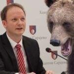 bosnjak smedji medvjed