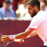 damir dzumhur