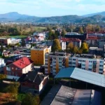 vitez